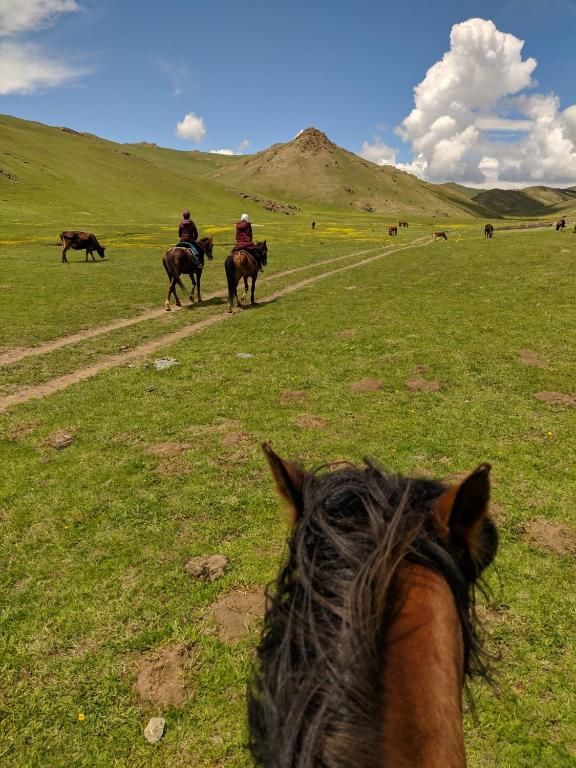 Гостевой дом Horseback Holiday at Kyzart village Dzhangyaryk-14