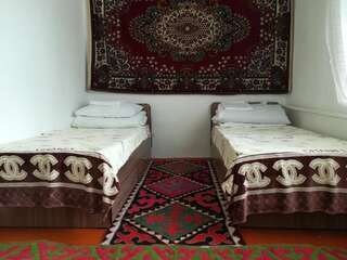 Гостевой дом Horseback Holiday at Kyzart village Dzhangyaryk Бюджетный двухместный номер с 2 отдельными кроватями-10